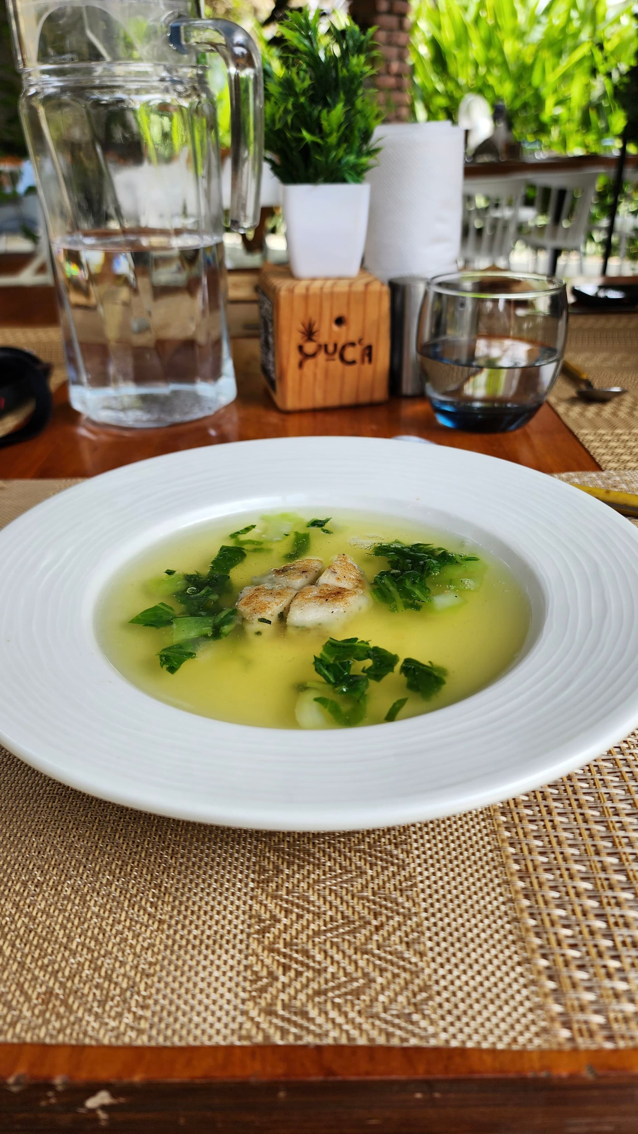 A bowl of soup garnished with herbs is placed on a woven placemat on a wooden table, accompanied by a glass of water, a pitcher, and a small potted plant in the background