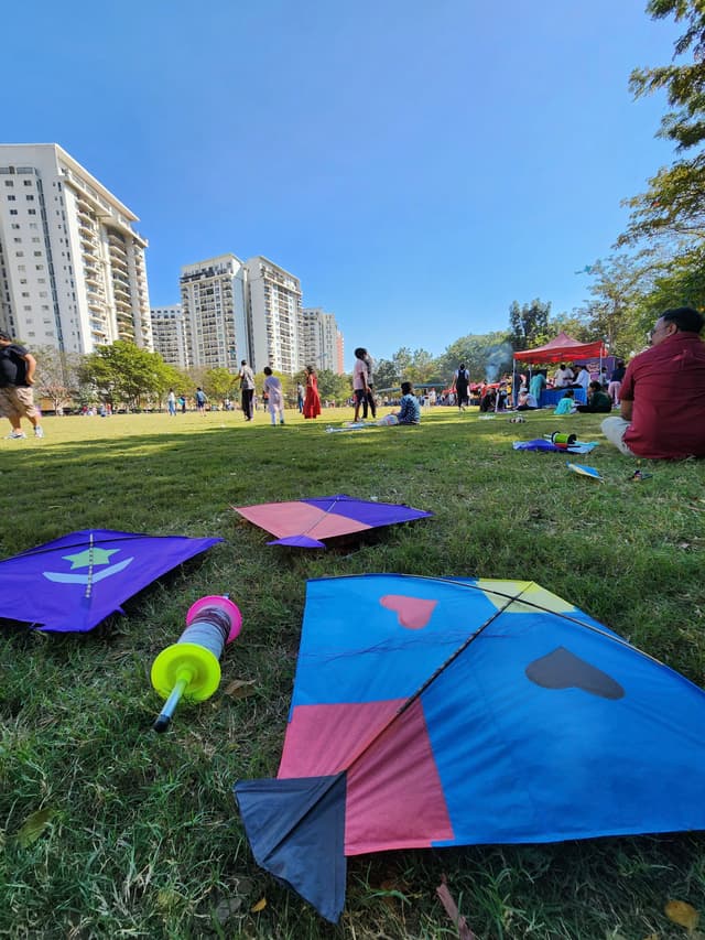 A park scene with colorful kites on the grass, people gathered in the background, and tall buildings under a clear blue sky