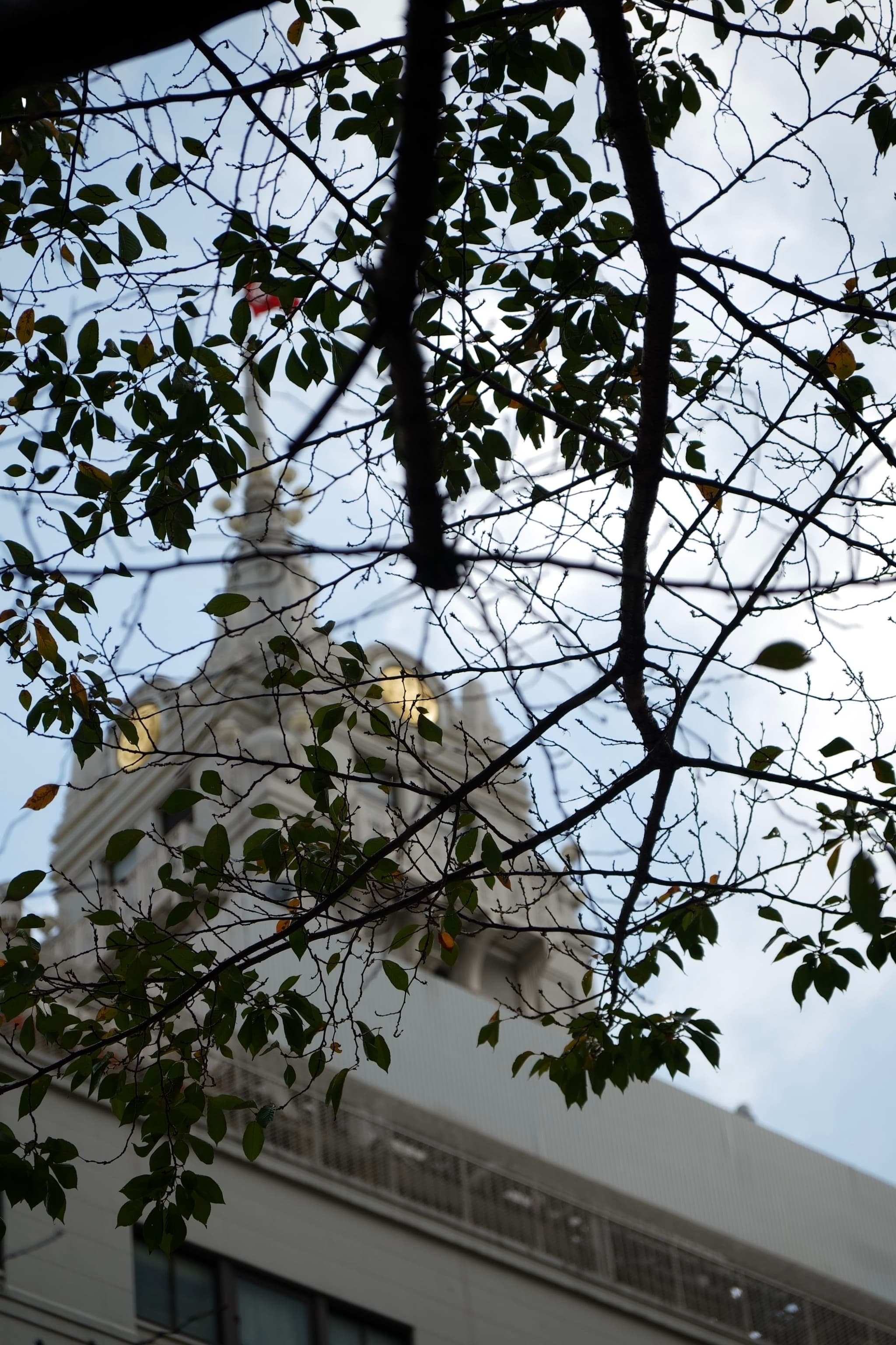 A building with a decorative spire is partially obscured by tree branches and leaves, set against a cloudy sky