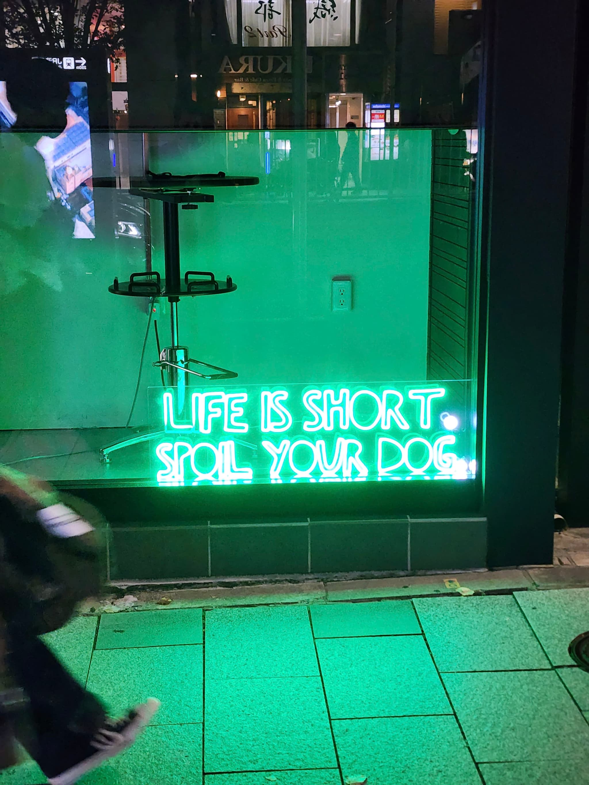 A storefront window with a neon sign that reads LIFE IS SHORT, SPOIL YOUR DOG The surrounding area is illuminated with green light, and a person is walking by