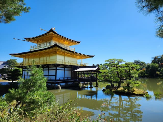 A golden pavilion stands beside a tranquil pond, surrounded by lush greenery and trees under a clear blue sky