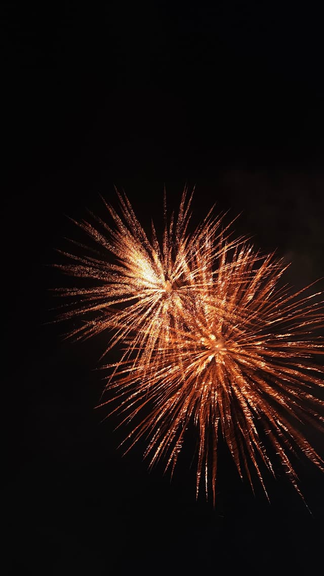 Bright orange fireworks exploding against a dark night sky