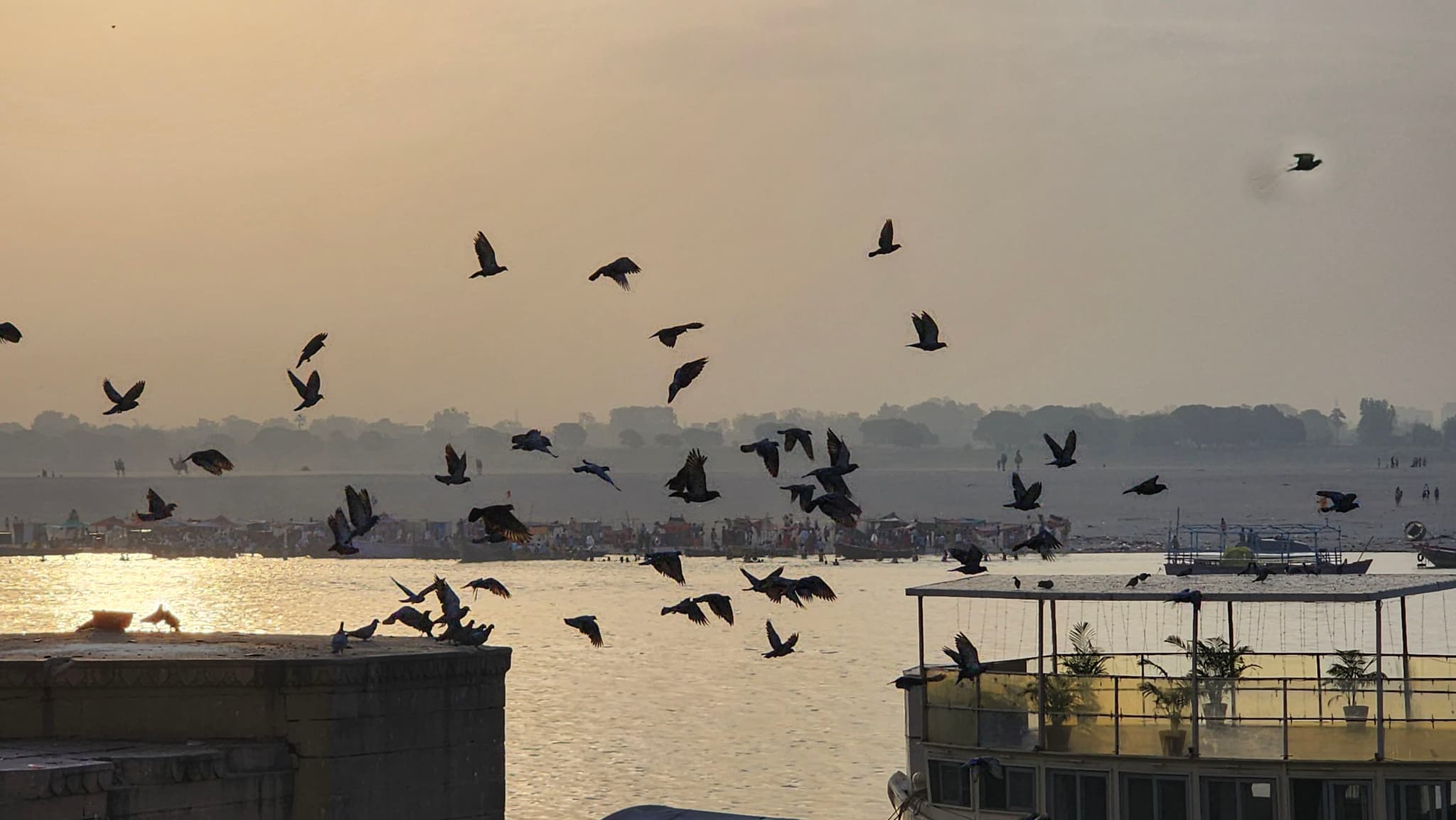 Sunrise Serenity: Birds Over the Ganges River