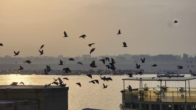 Sunrise Serenity: Birds Over the Ganges River